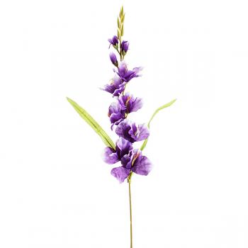 Purple Gladiolus Spring Floral Stem