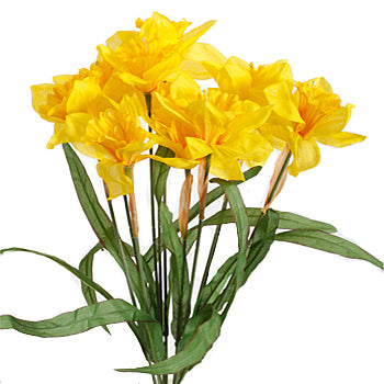 Daffodil Spring Floral Bush