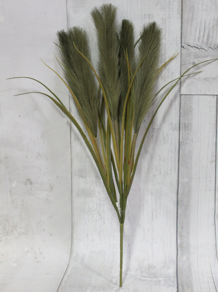 Fall Feather Grass Bush - 4 Assorted Colors