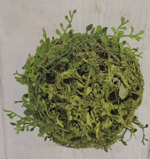 6" Moss Green Decorative Ball