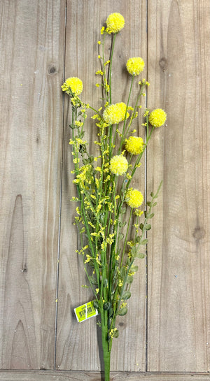 30" Yellow Snowball Allium Bush
