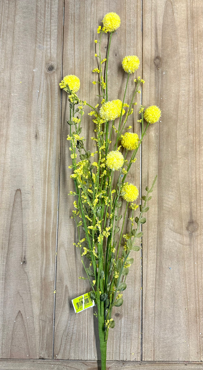 30" Yellow Snowball Allium Bush