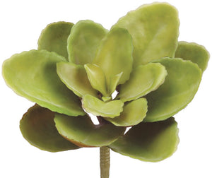 8" Soft Sedum Floral Pick - Green-Floral Stems-Ellis Home & Garden