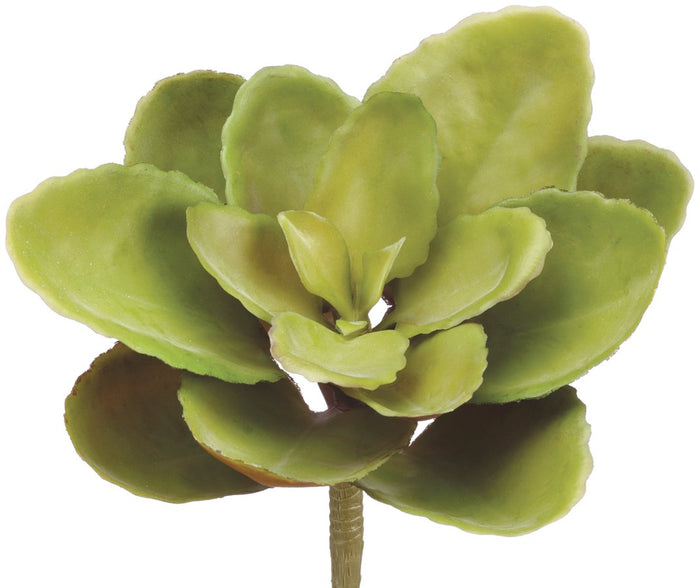 8" Soft Sedum Floral Pick - Green