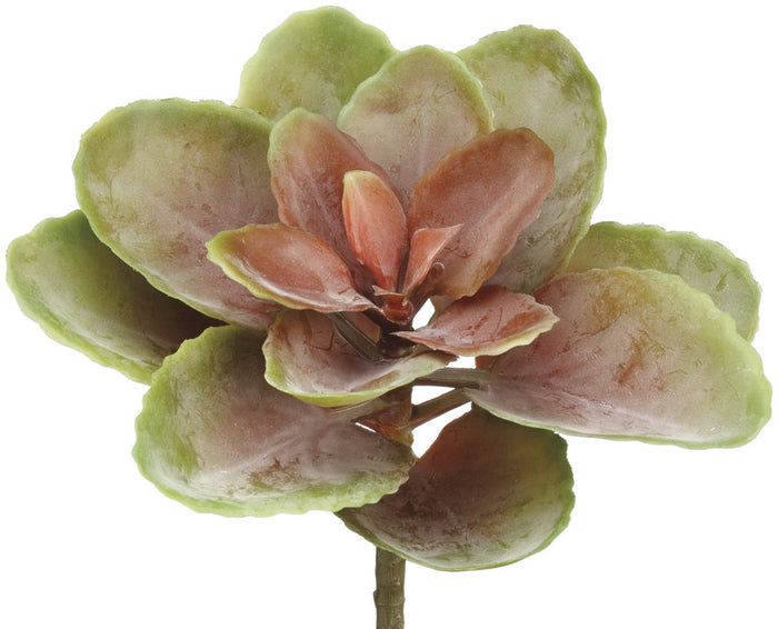 8" Soft Sedum Floral Pick - Green/Mauve