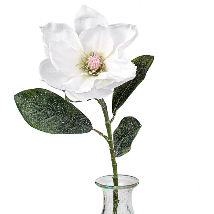 29" Snowy Magnolia Stem