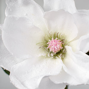 29" Snowy Magnolia Stem