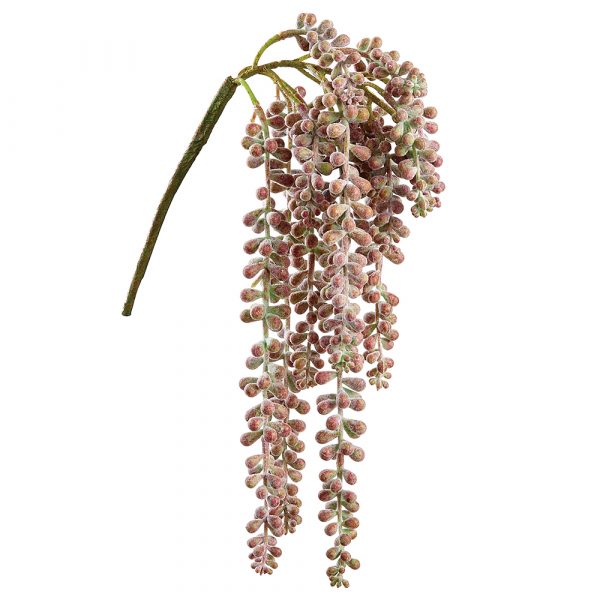 19" Light Burgundy Soft Touch Donkey Tail
