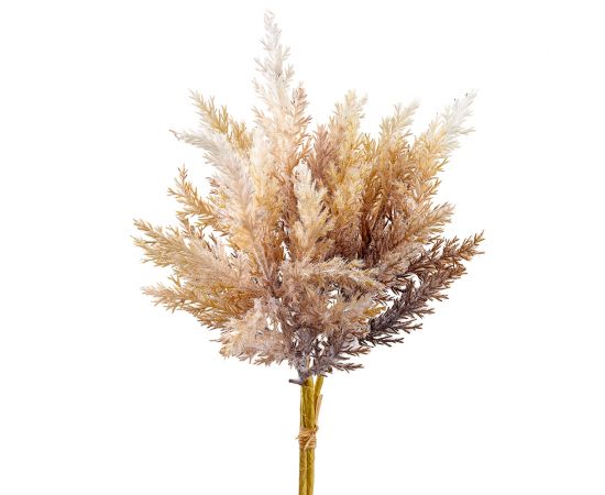 14" Beige Pampas Grass Bundle
