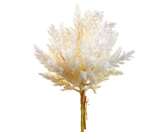 14" Ivory Pampas Grass Bundle