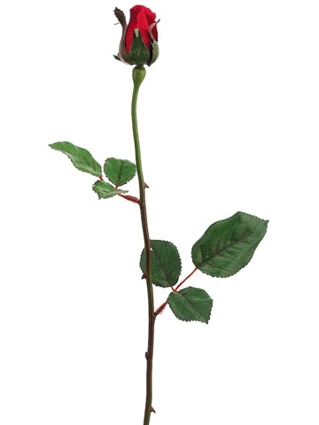 23" Red Rosebud Stem