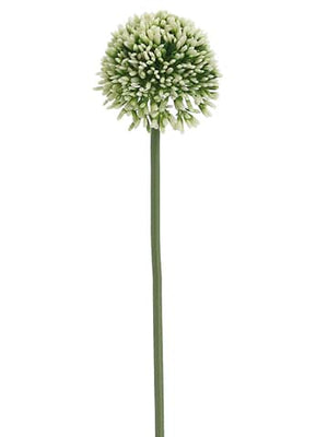 17.5" Cream Allium Floral Stem