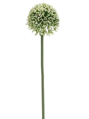 17.5" Cream Allium Floral Stem