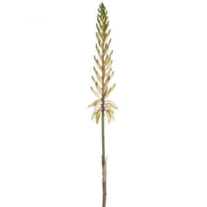 28" White & Green Agave Flower Stem