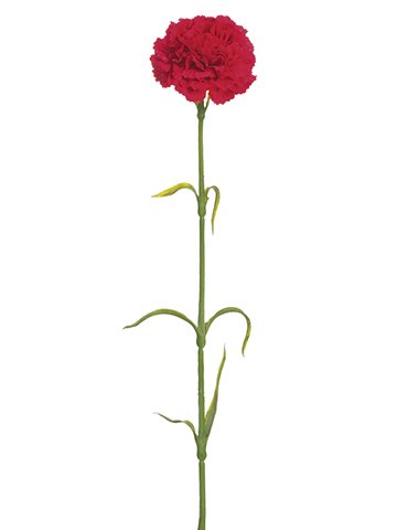 17" Red Carnation Spray