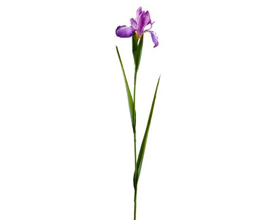 30" Purple Iris Spray