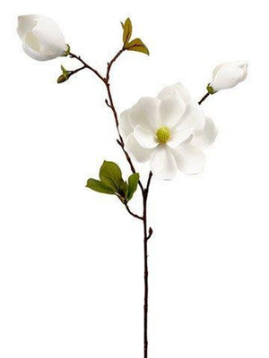 31" White Magnolia Spray