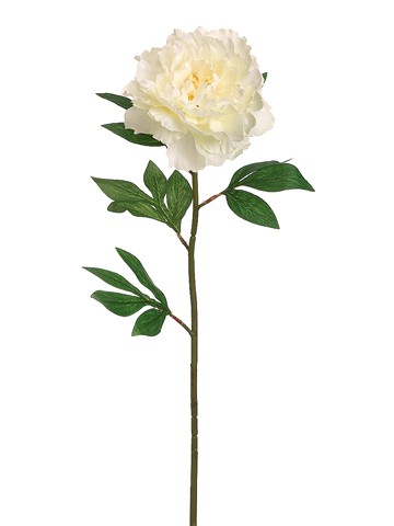 27" Cream Pearl Peony Stem
