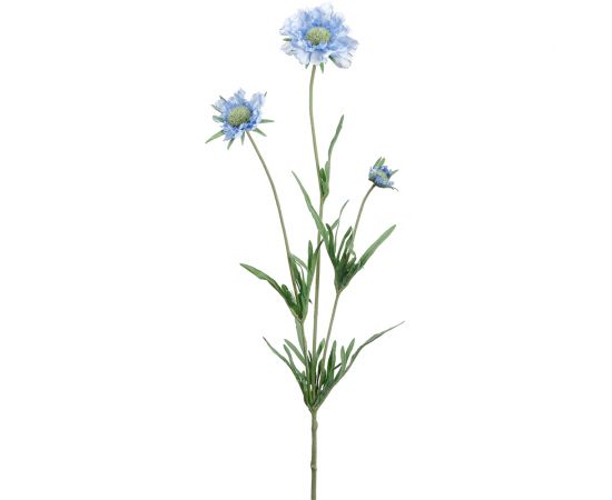 25.25" Light Blue Scabiosa Spray