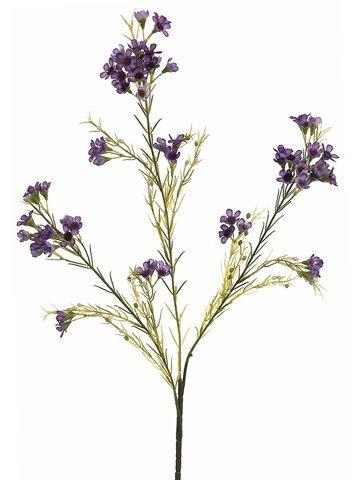 27" Purple Waxflower Floral Spray