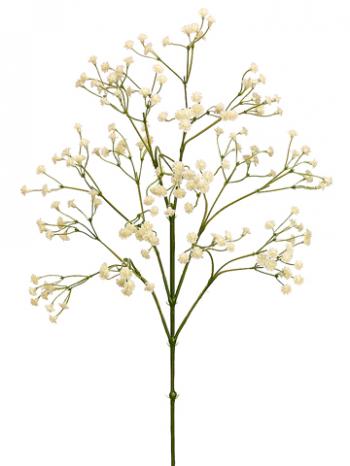 26" Baby's Breath Spray - Cream