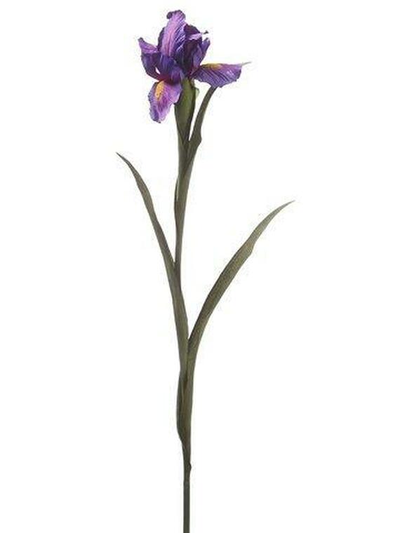 28 Single Purple Iris Floral Stem – Ellis Home & Garden