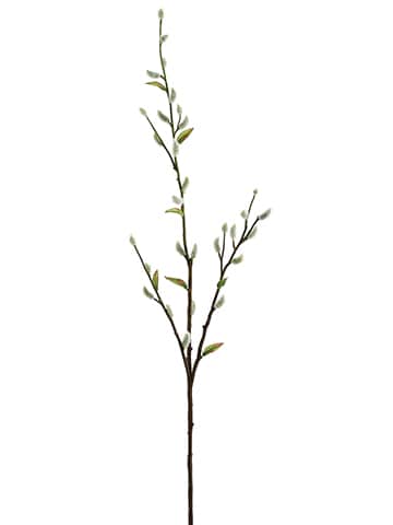 36" Large Gray Pussy Willow Stem