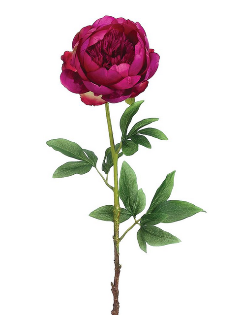 24" Rubrum Silk Peony Floral Stem
