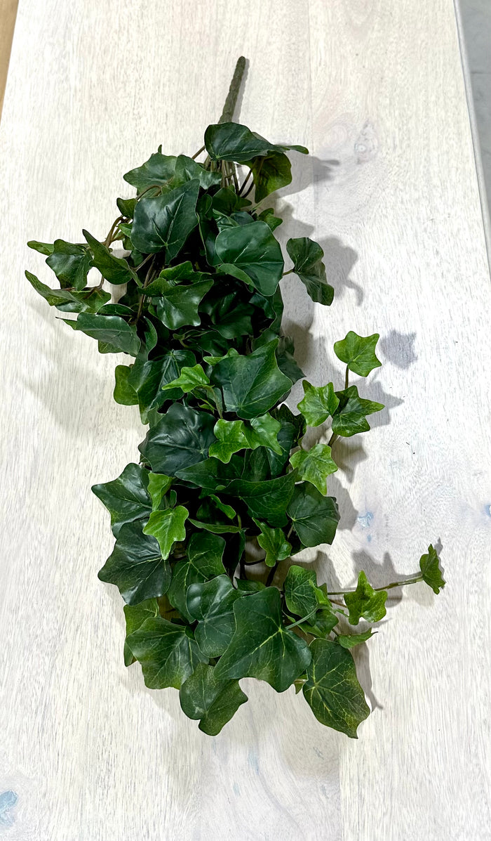 28" English Ivy Hanger