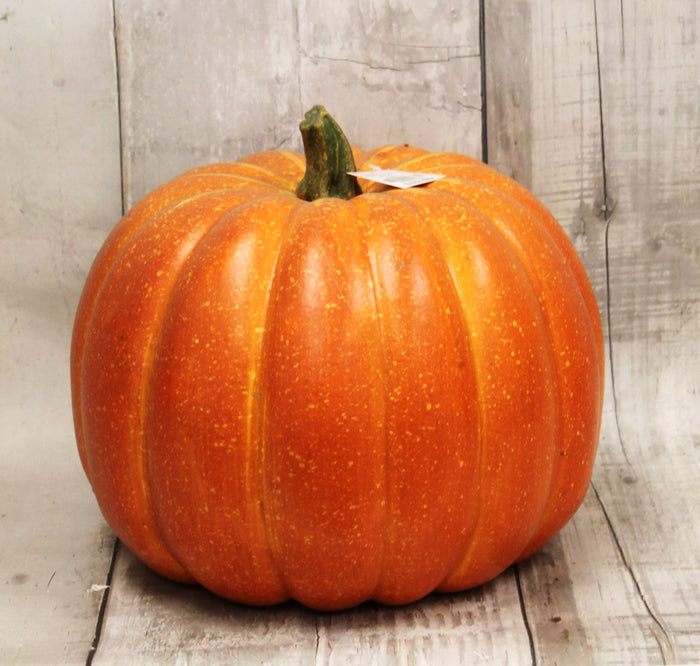 15" Orange Foam Pumpkin