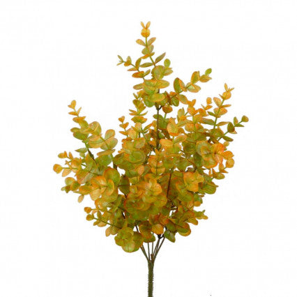 18" Mustard Eucalyptus Bush
