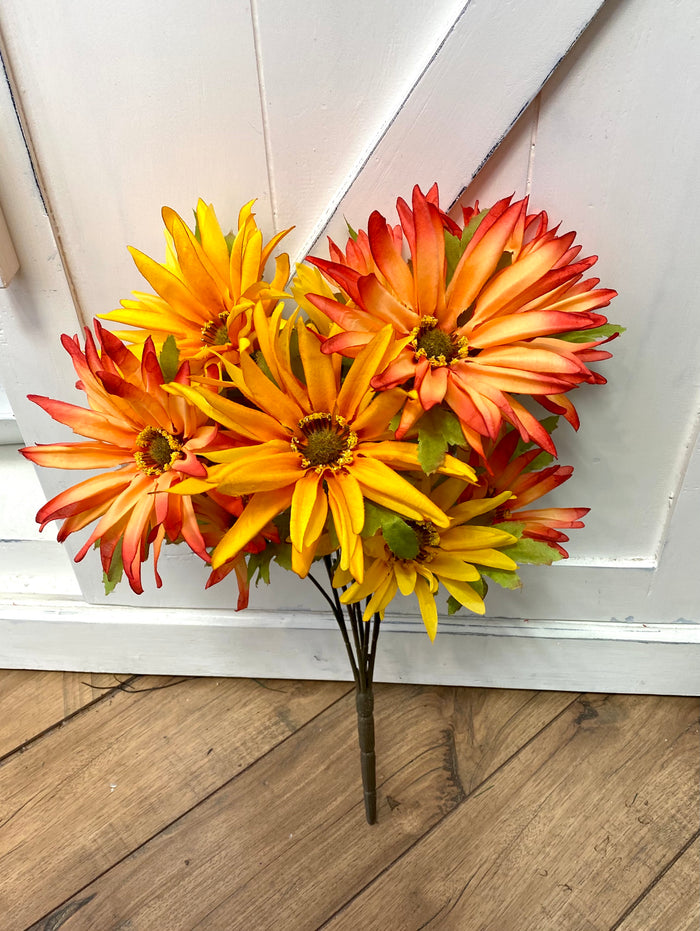 Fall Aster Daisy Floral Bush