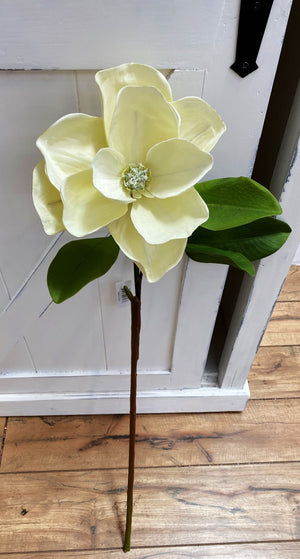 Single Cream Magnolia Stem-Floral Stems-Ellis Home & Garden